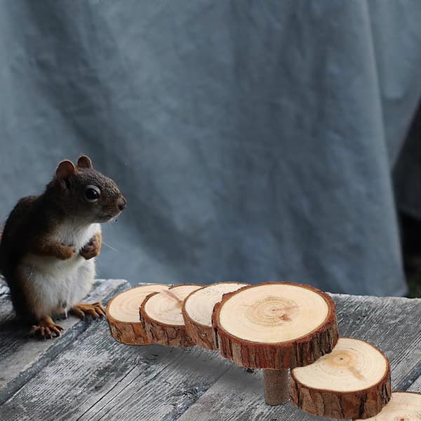 Hamsterklätterleksak träplattform för husdjursträning och lek
