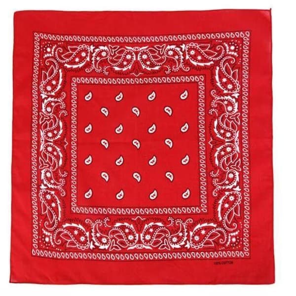 Bandana med paisleymönster Ljusgrå gray