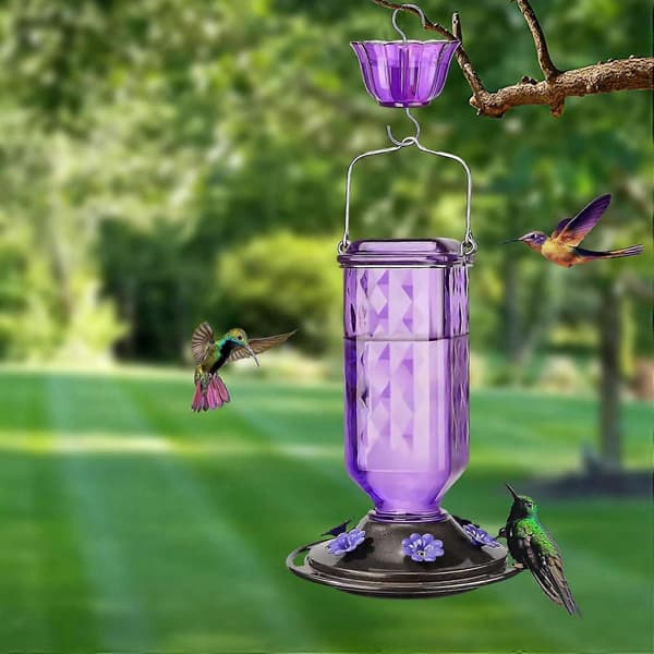Fuglefoderautomat til udendørs ophængning, 24 oz lækagesikker kolibrifoderautomat, 6 fodringsporte, fuglenektarfoderautomat til haveindretning Purple