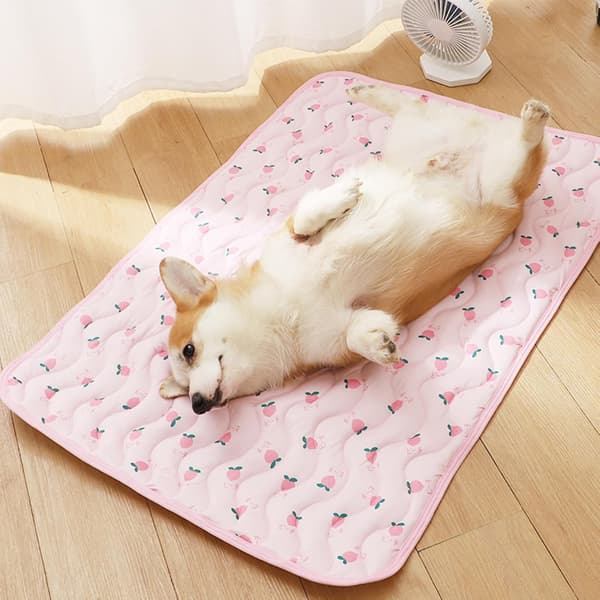 Sommer kølemåtte til katte og hunde (60 x 50 cm) — Pink kølemåtte med kirsebærmønster