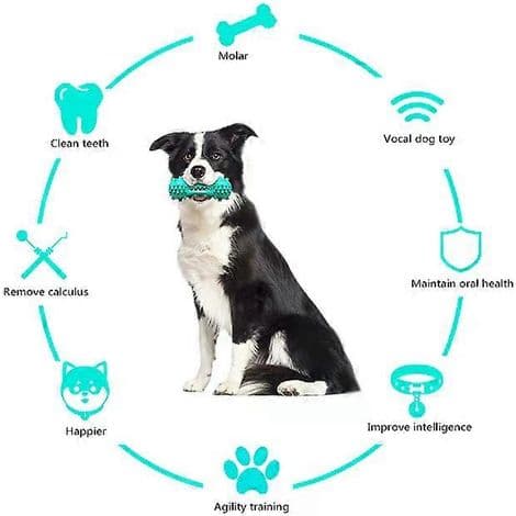 Hundetyggeleker, pipeleker, tannringer