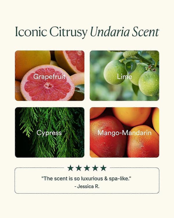 Undaria Algae Body Oil 150 ml, tang-infusert fuktighetskrem for oppstramming og elastisitet