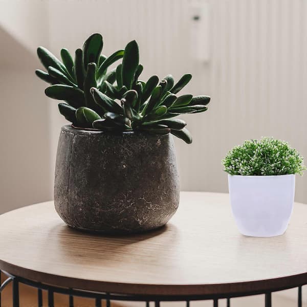 Konstgjord växtdekor mini krukväxt bonsai prydnad för dekoration 4-pack