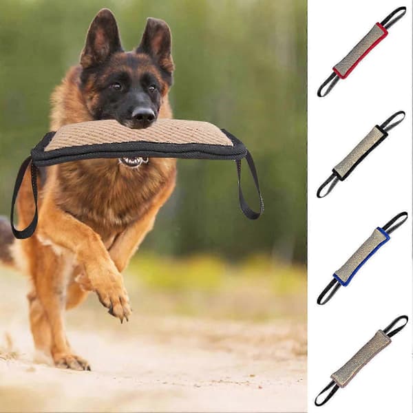 Hundebidpind Let at gribe Interaktiv Bideresistent Hundetræningsbidpudelegetøj til store hunde Blue