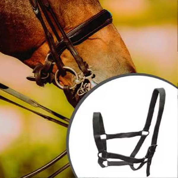 Hästgrimma Träningsrep Sele Justerbar Träns för Gräsmarks-Cowboyridning