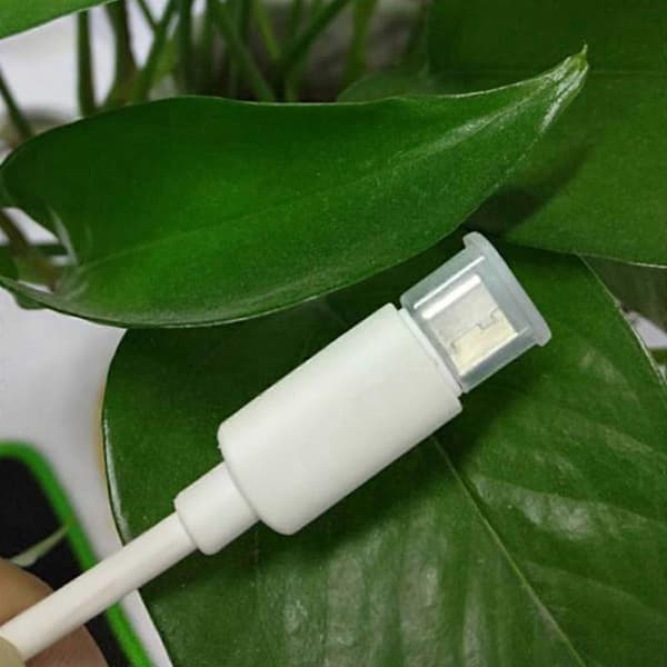 10 par USB Typ C hona och hane dammskyddande skyddsproppar (svart)
