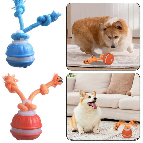 Interaktiv Smart Rullende Bold til Hunde - Holdbart Tyggelegetøj til Tandslibning og Sjov Underholdning Orange Ordinary