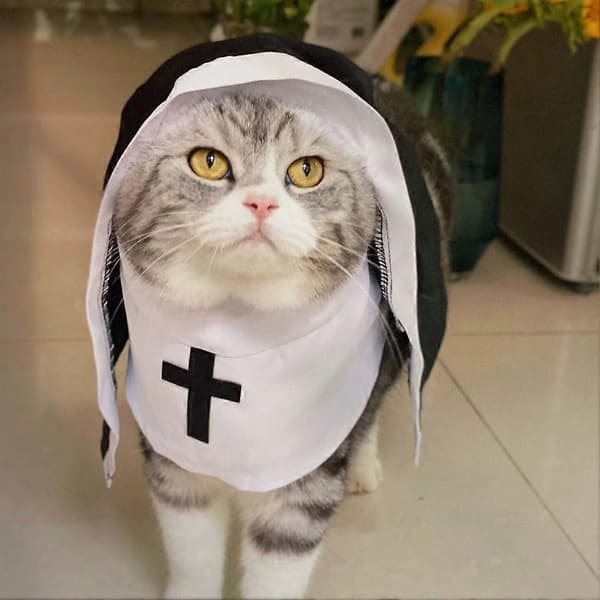 Halloween Sjove Killinger og Hvalpe Nonnekappe Kostume Kæledyr til Små е■ D3X2 Black M